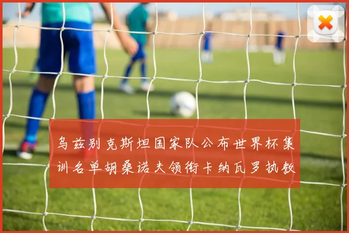 乌兹别克斯坦国家队公布世界杯集训名单胡桑诺夫领衔卡纳瓦罗执教